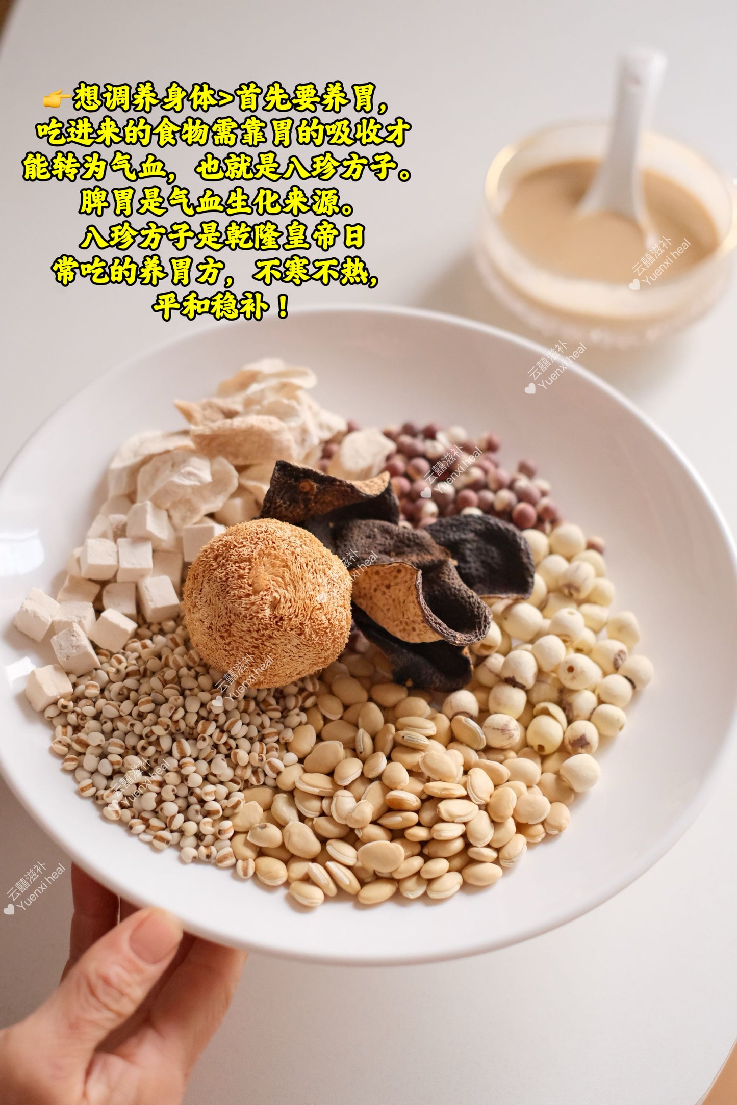 健脾八珍粉 (*健脾养胃祛湿救星*) Spleen nourishing bazhen powder