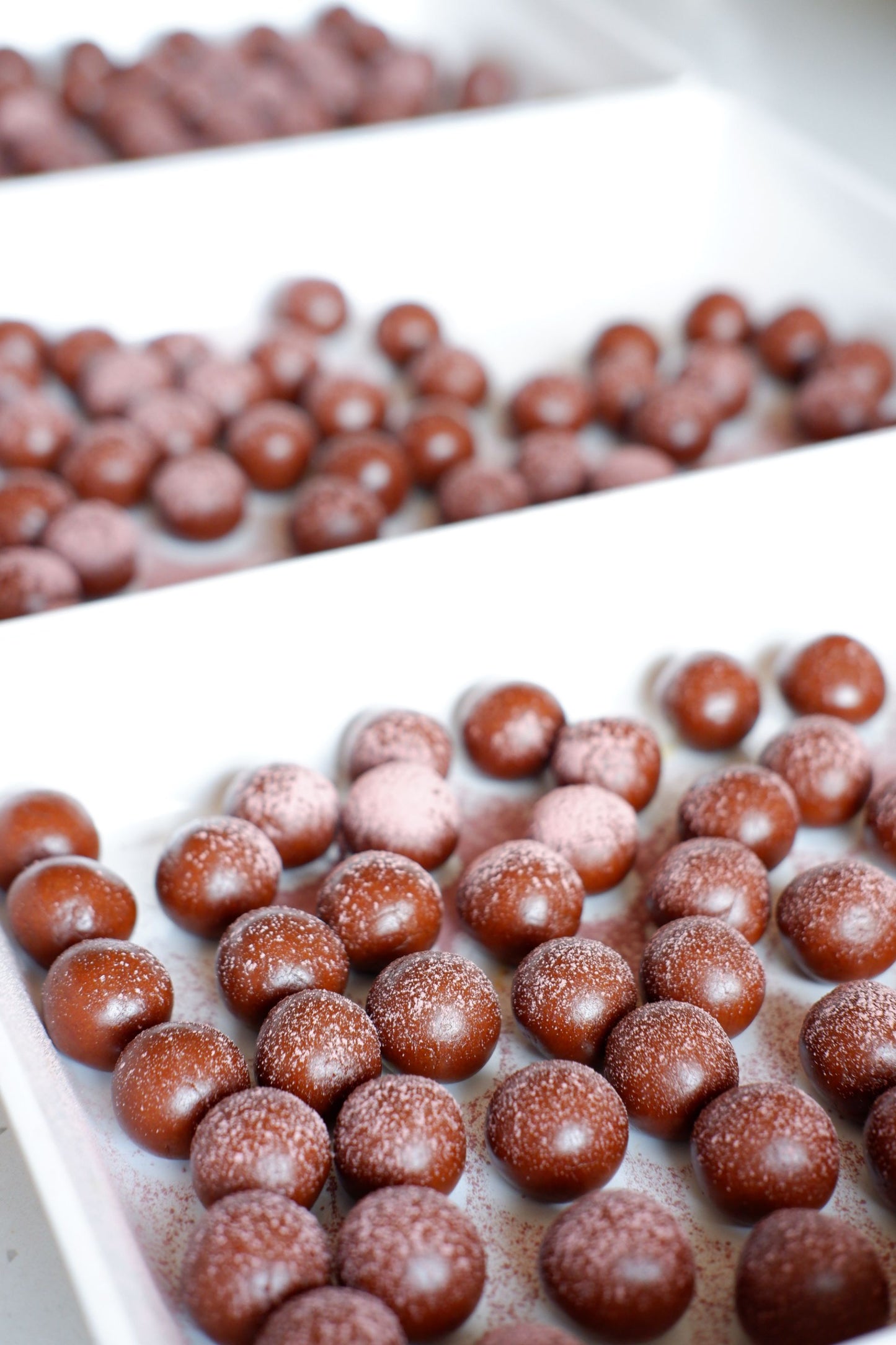 【姨妈三养】调理配套｜养气血+养雌+养顺（不滞不郁）｜Period & Radiance · Triple Nourishment Set