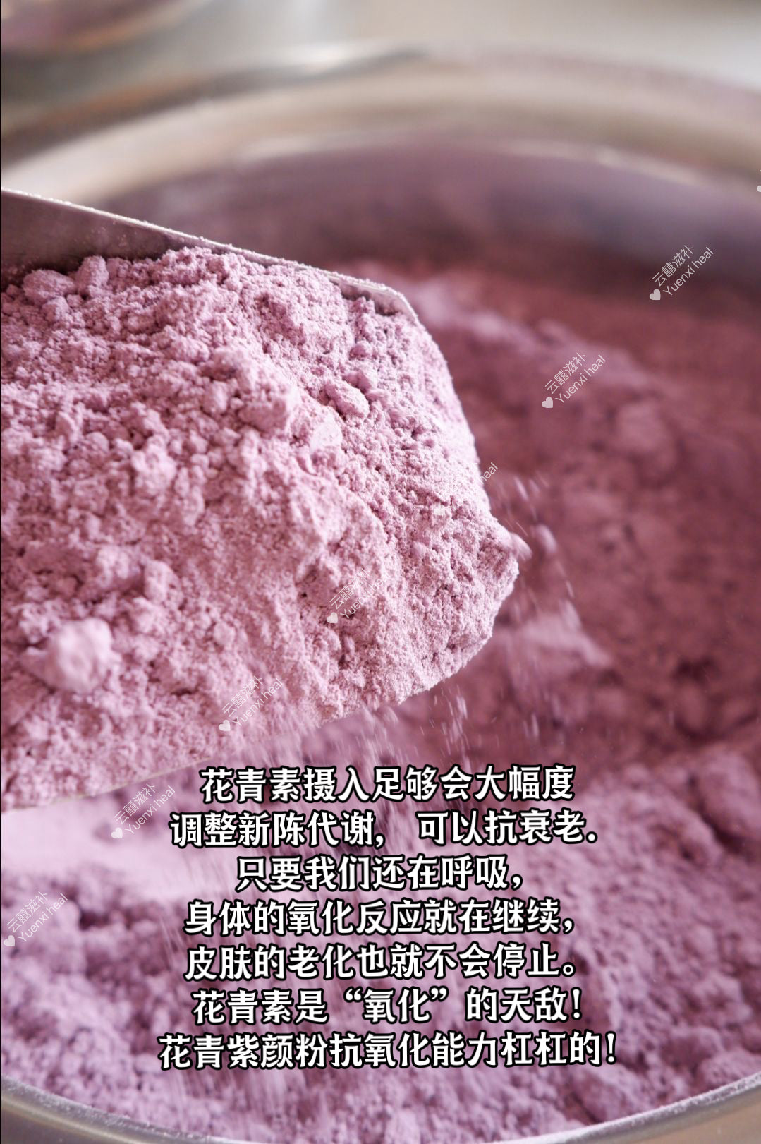 早C晚A养生粉（*玉肌美白粉+花青素紫颜粉*) Morning C Night A: 2 bottles combo