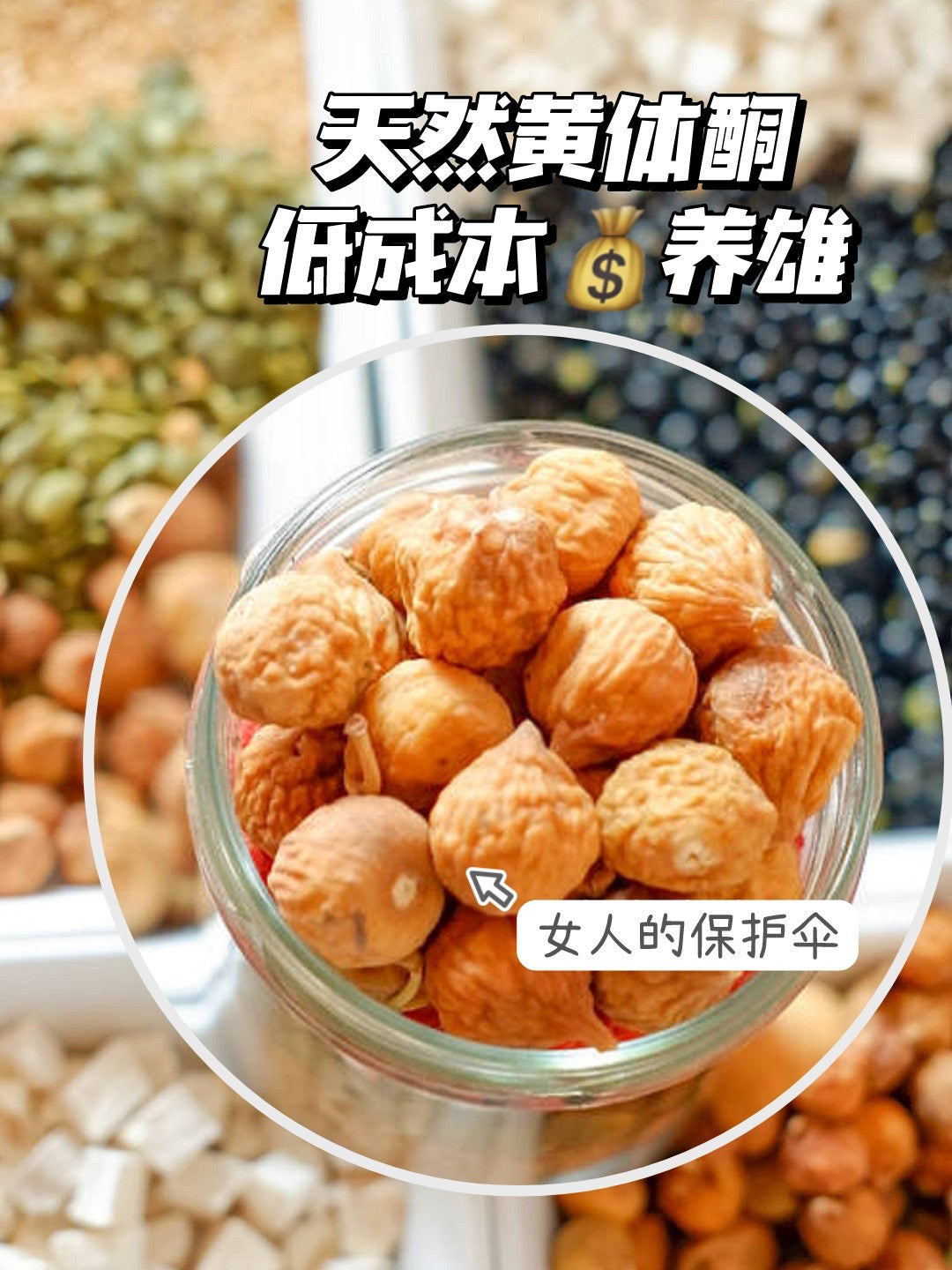 黄体酮养雌粉 (*补雌养巢粉,天然黄体酮,越吃巢越好*）Progesterone nourishing female powder