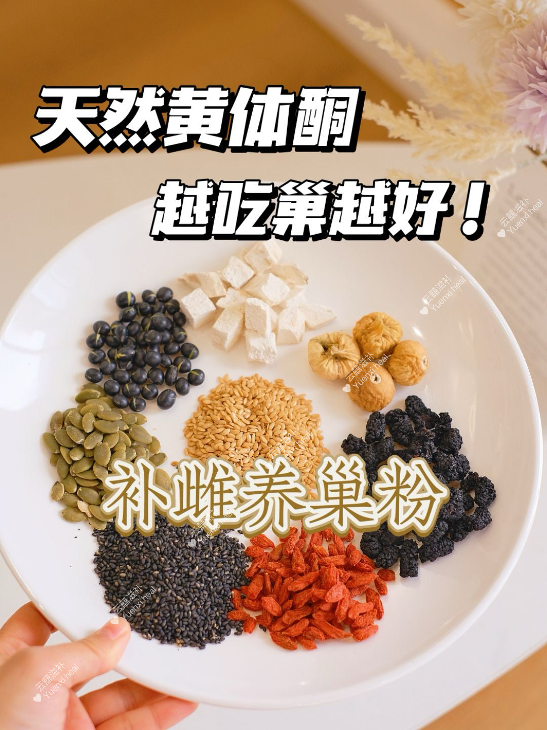 黄体酮养雌粉 (*补雌养巢粉,天然黄体酮,越吃巢越好*）Progesterone nourishing female powder