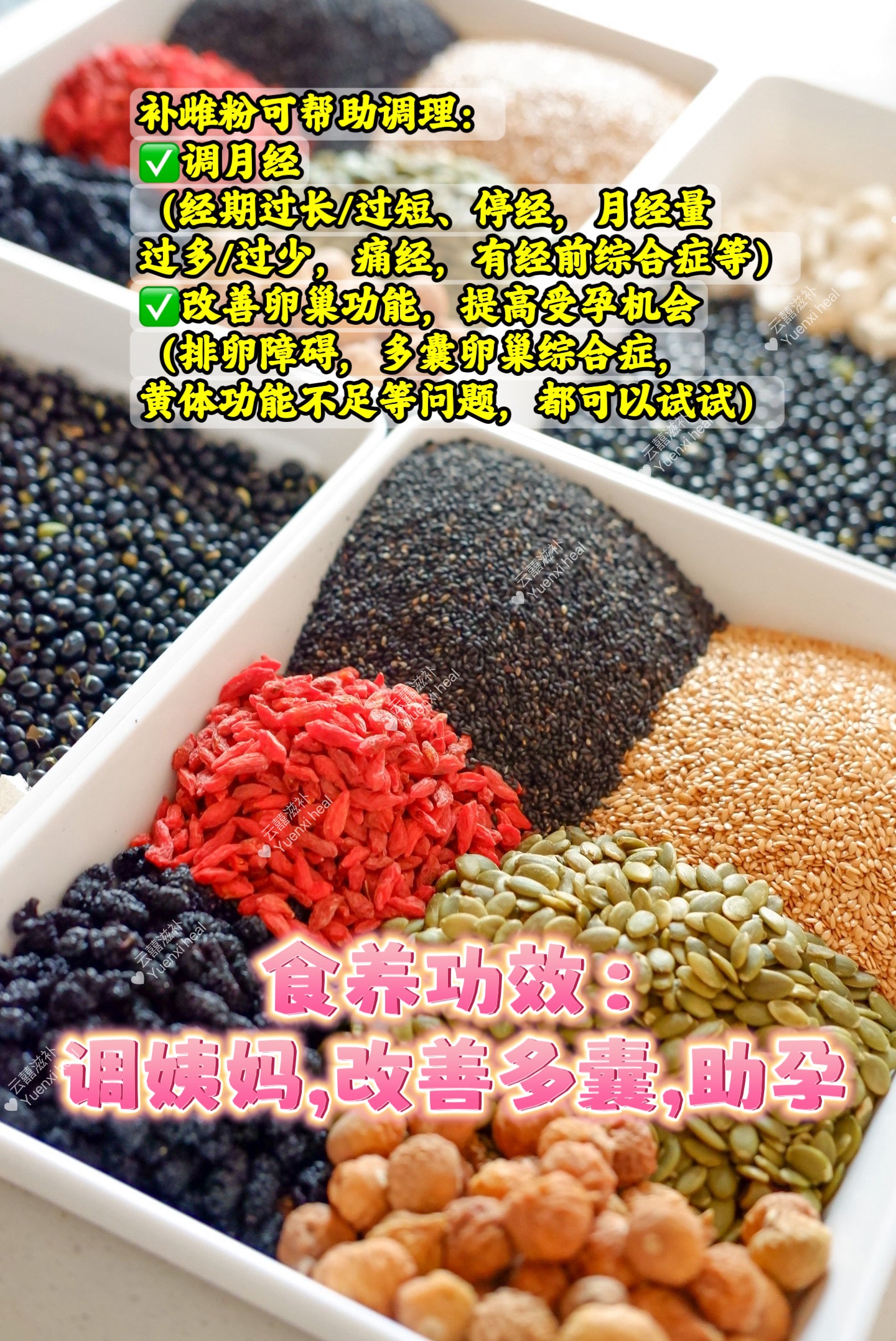 黄体酮养雌粉 (*补雌养巢粉,天然黄体酮,越吃巢越好*）Progesterone nourishing female powder