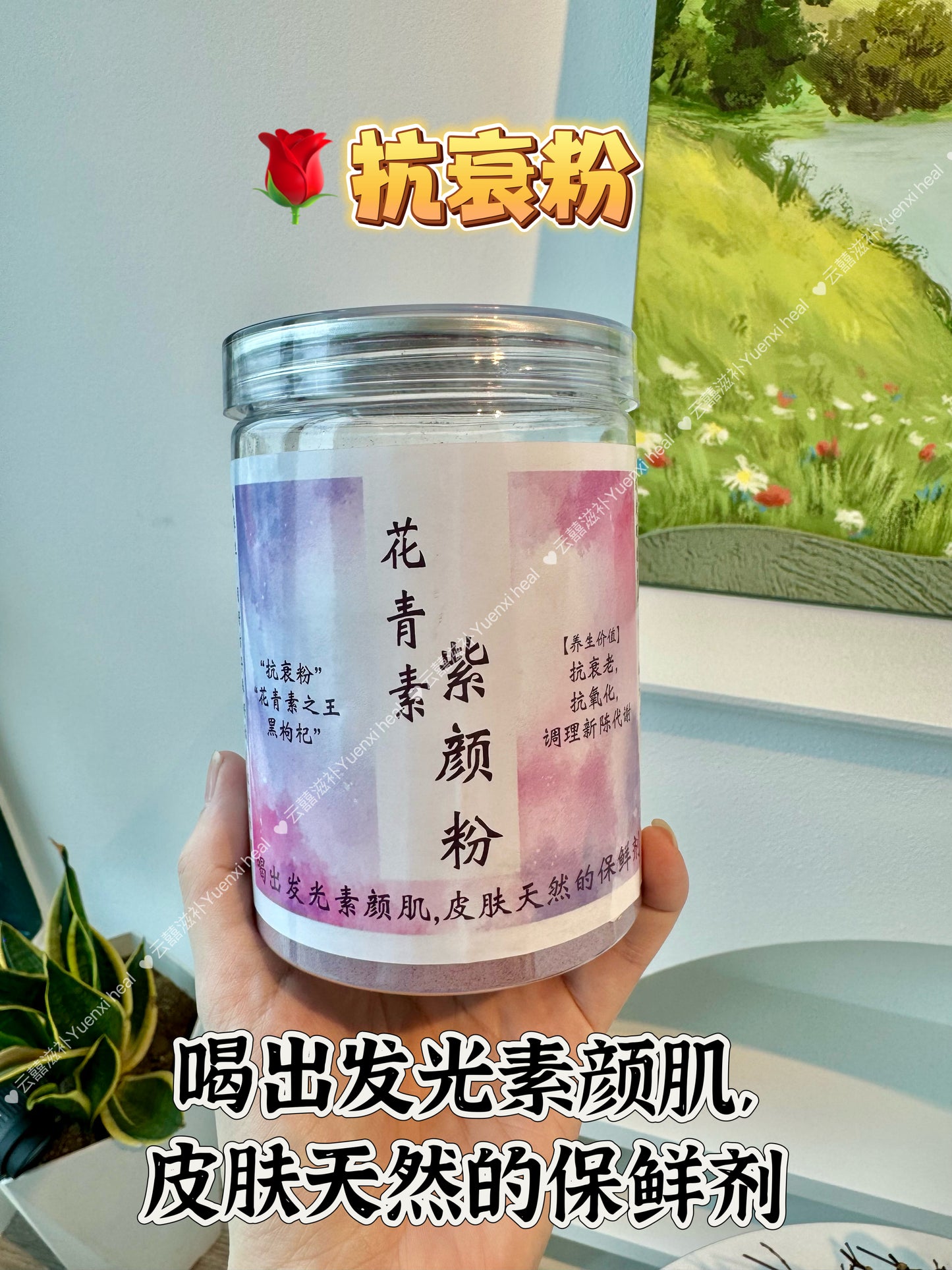早C晚A养生粉（*玉肌美白粉+花青素紫颜粉*) Morning C Night A: 2 bottles combo
