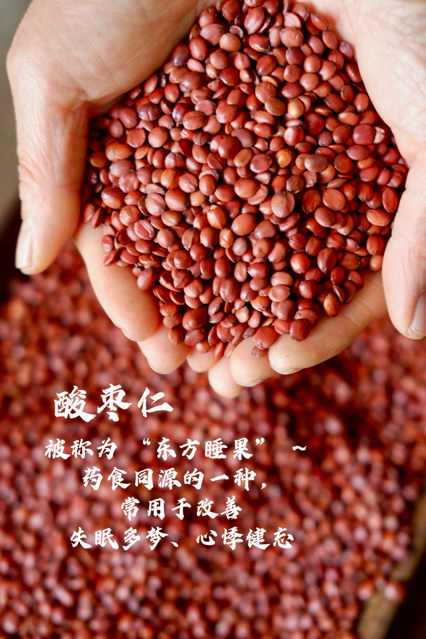 酸枣仁助眠丸 Sleep aid【ball】～【安神助眠 ，养阴润肺】