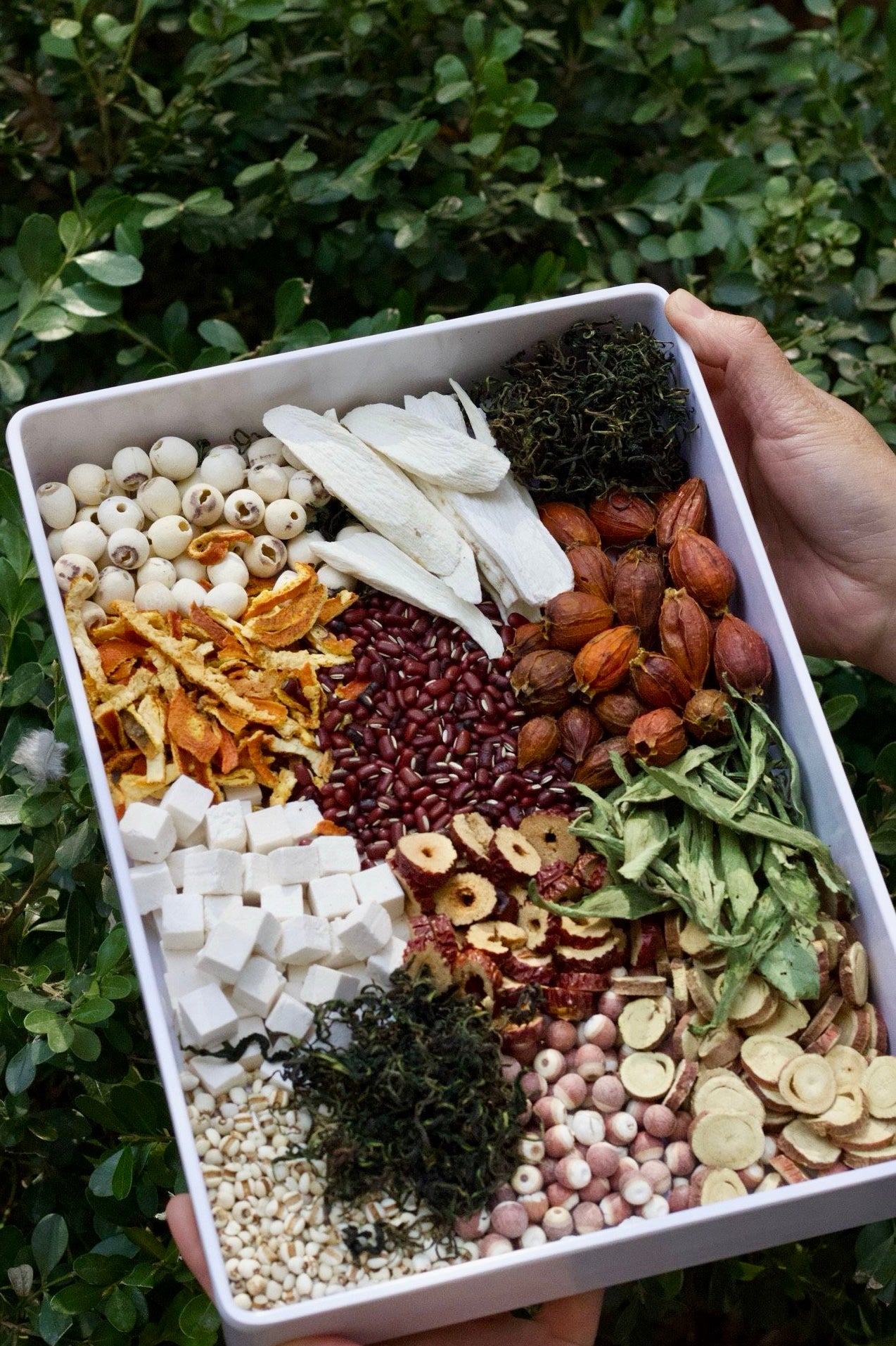 【祛湿轻身茶】Damp Away Tea 【健脾祛湿，利水消肿，排毒养颜】15pkt/bag